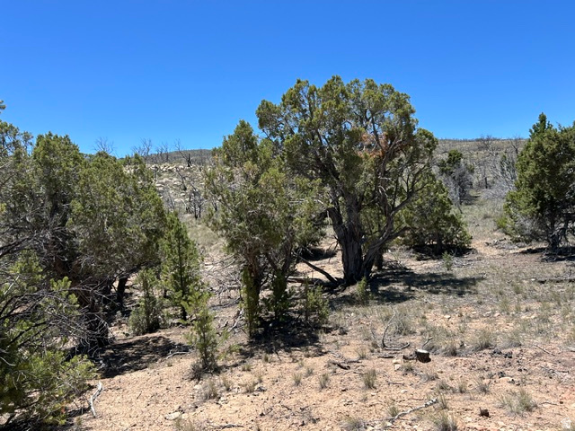 10 ares near the base of Currant creek mountain, south of Fruitland, Ut. Property has good access, and power is on the NE corner. Theres a cove at the bottom of the property with groves of trees, a great view of the valley below, and Tabby Mountain to the north. The top of the property was burnt.