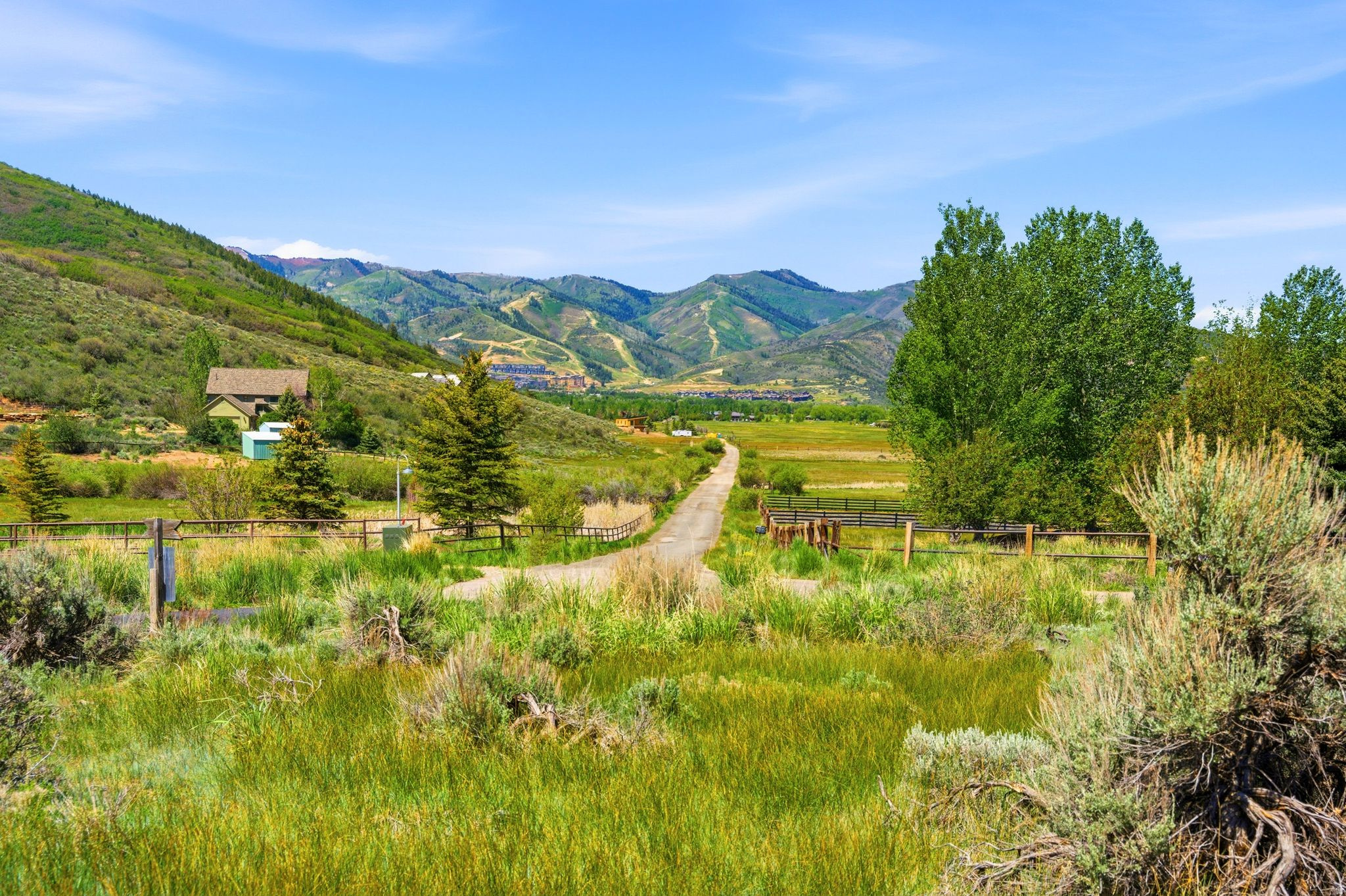 OLD RANCH RD - Land