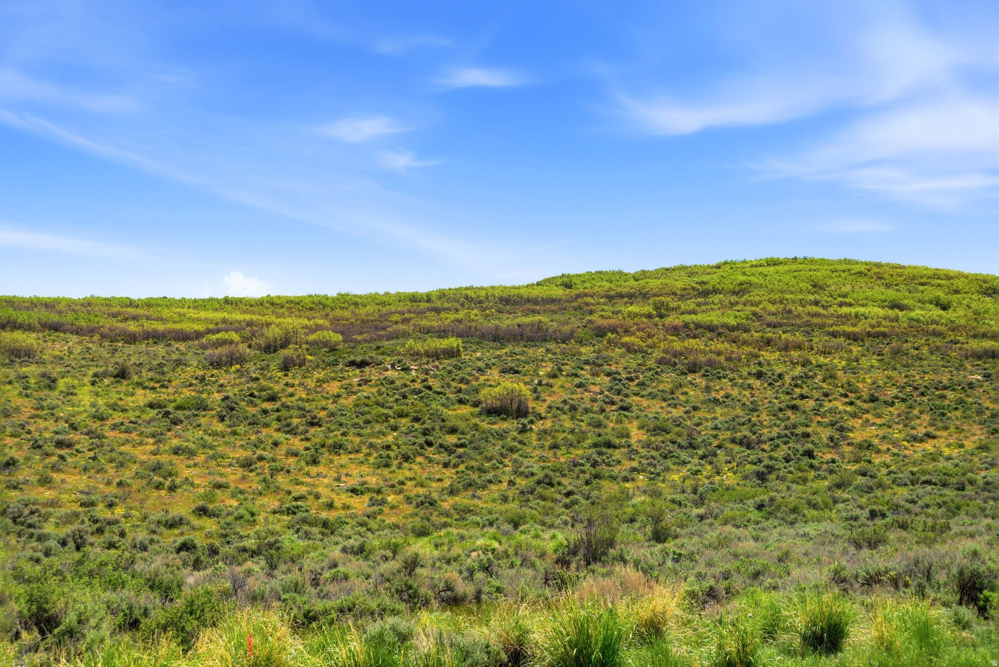 OLD RANCH RD - Land