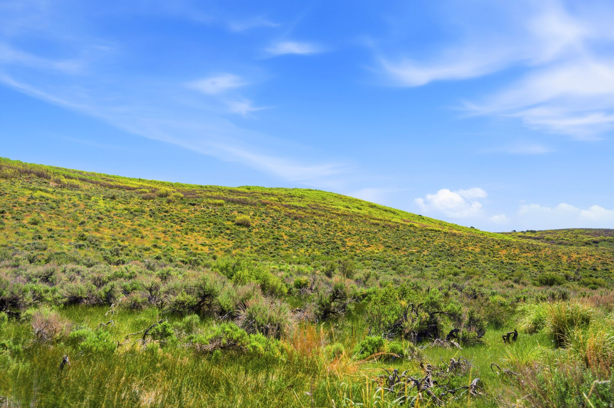 OLD RANCH RD - Land