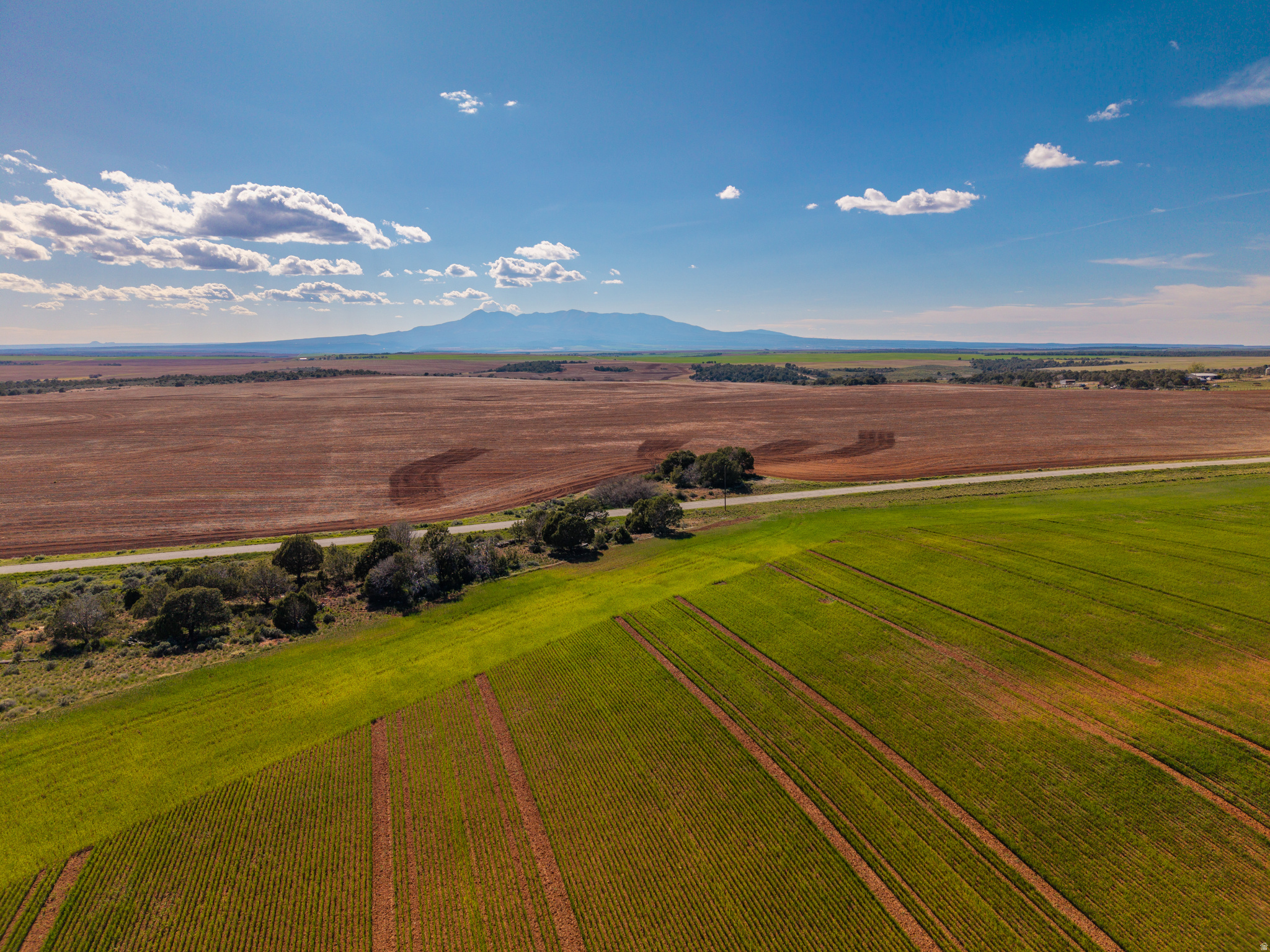 Discover 248.95 acres of beautiful, versatile land for sale in Eastland, Utah - the perfect blend of income potential, recreation, and rural living. This productive property offers crop-share opportunities with wheat or safflower, giving you a chance to generate passive income while owning a piece of Utah's wide-open countryside, as well as excellent hunting and wildlife opportunities right on your land. The property is a part of the Spring Creek Dodge CWMU which is another small source of income. There is convenient road access, and power is nearby with connection fees applying. It's currently in greenbelt status, keeping property taxes low. Whether you're looking to invest, farm, hunt, or simply enjoy a peaceful retreat surrounded by nature, this land has endless potential. *Note on Location: Please note that the address of 412 S Eastland Rd is for mapping and syndication purposes only. This property has not yet been assigned an official address. This estimated location is provided solely to assist buyers in identifying the general area.
