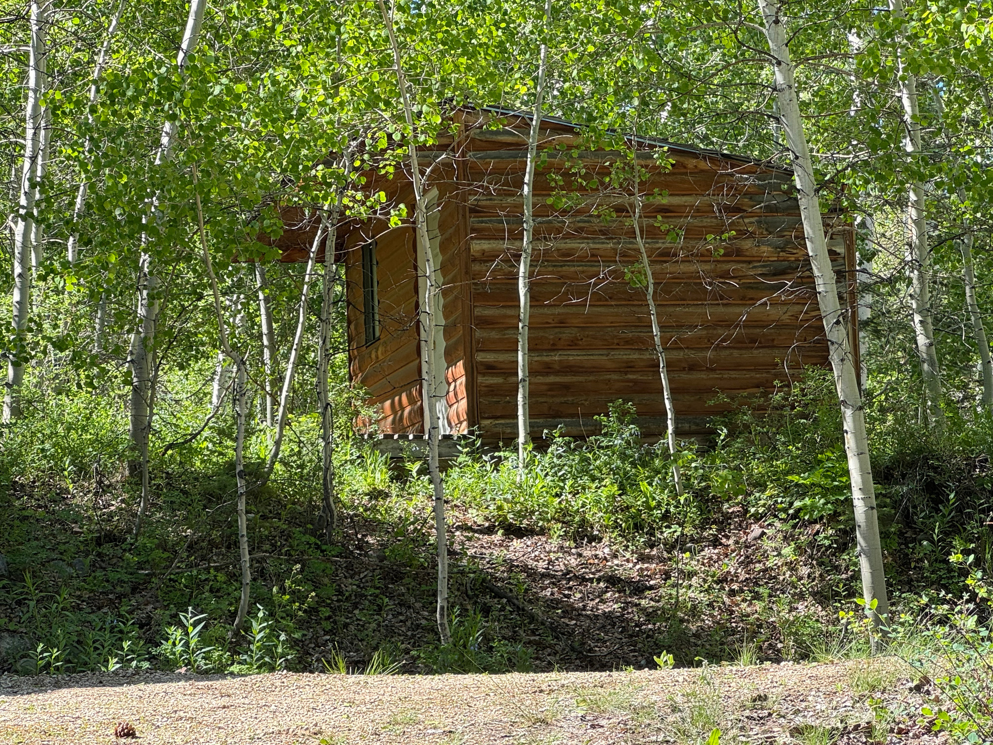 TIMBER LAKES - Residential