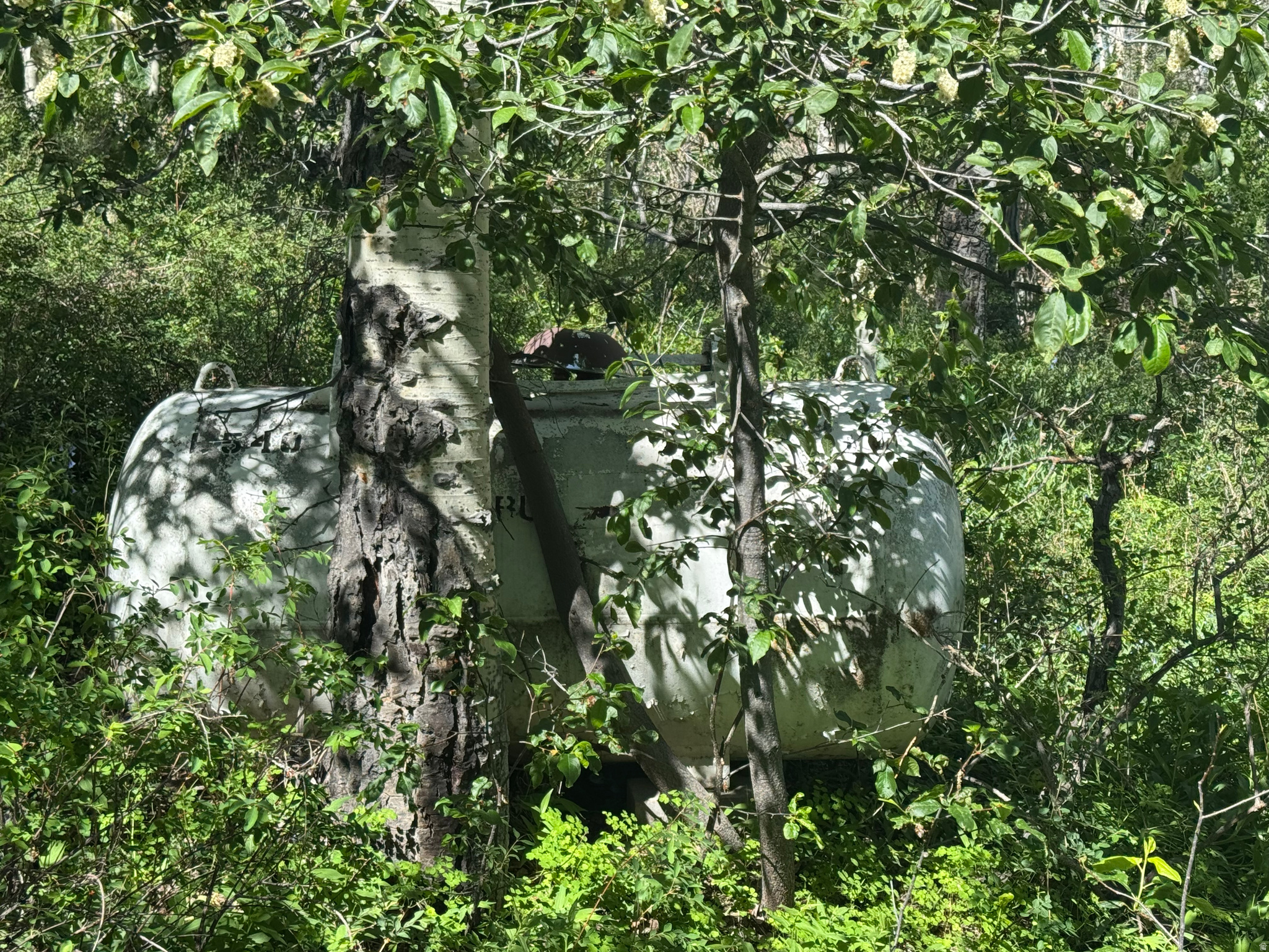TIMBER LAKES - Residential