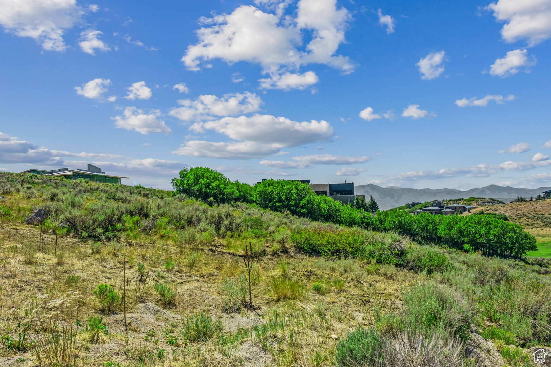 PINNACLE PORTFOLIO - Residential