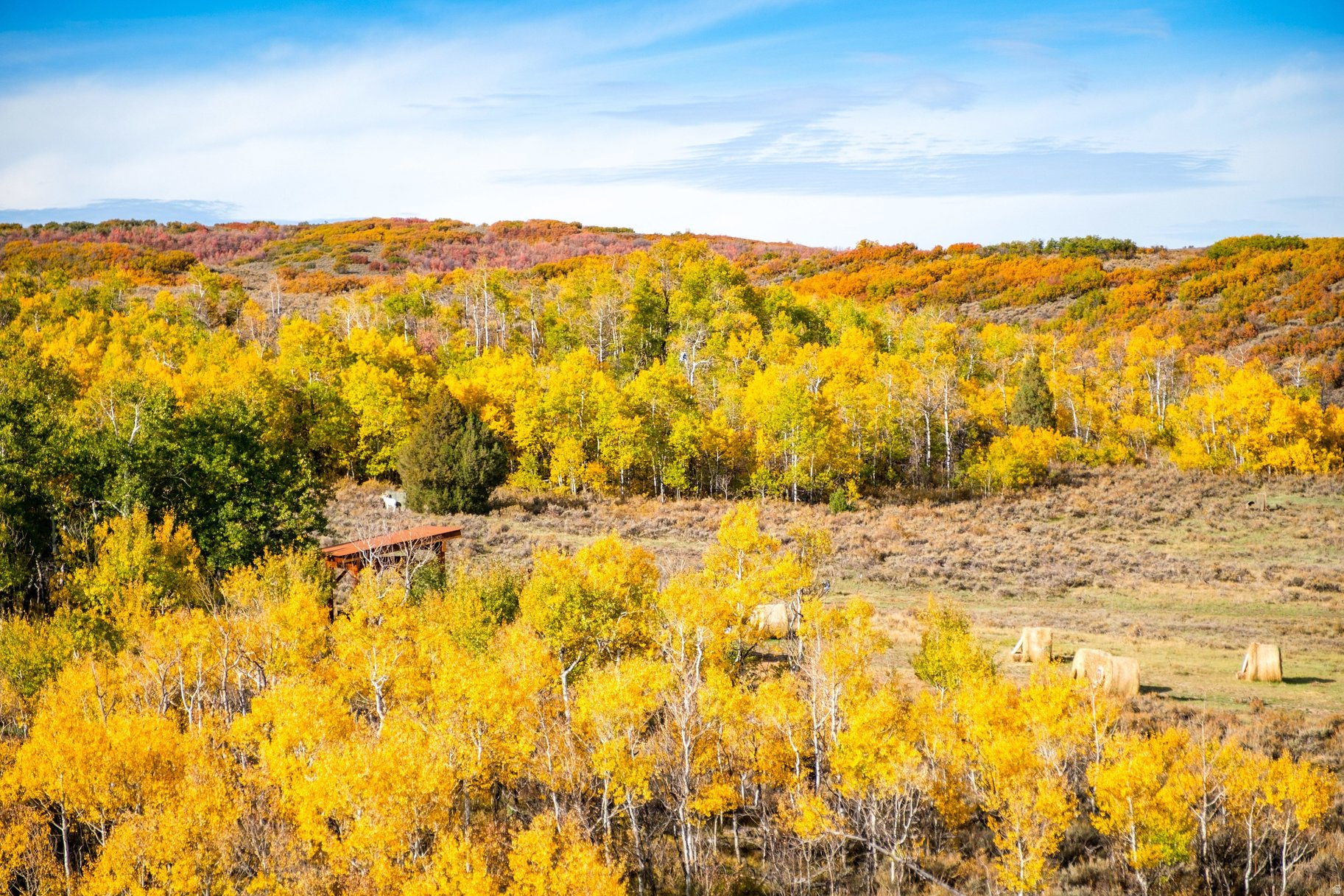 VICTORY RANCH - Land