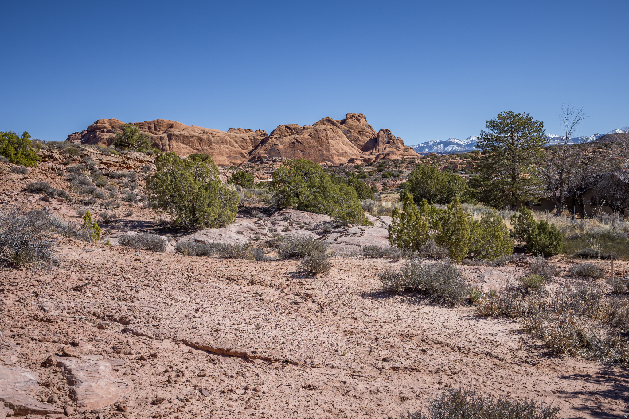 HIGH DESERT BEAUTY - This stunning acreage parcel is well situated to ensure that sunrises over the La Sal Mountains to sunsets along the Moab Rim will frame your days in beauty. The views of the slickrock fins are particularly breathtaking. The property has gorgeous topography and red rock character with native vegetation throughout. Conveniently located less than 10 minutes southeast of downtown, this parcel sits on the eastern side of the valley moments away from BLM land with easy access to hiking, biking, 4x4 trails, as well as Moab's Golf Club. Surrounded by lovely homes, there are no restrictive covenants or HOA. Municipal utilities are in the street. A rare site for your Moab haven.