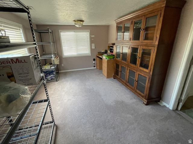 THYRENA BURDICK MINOR SUBD - Residential