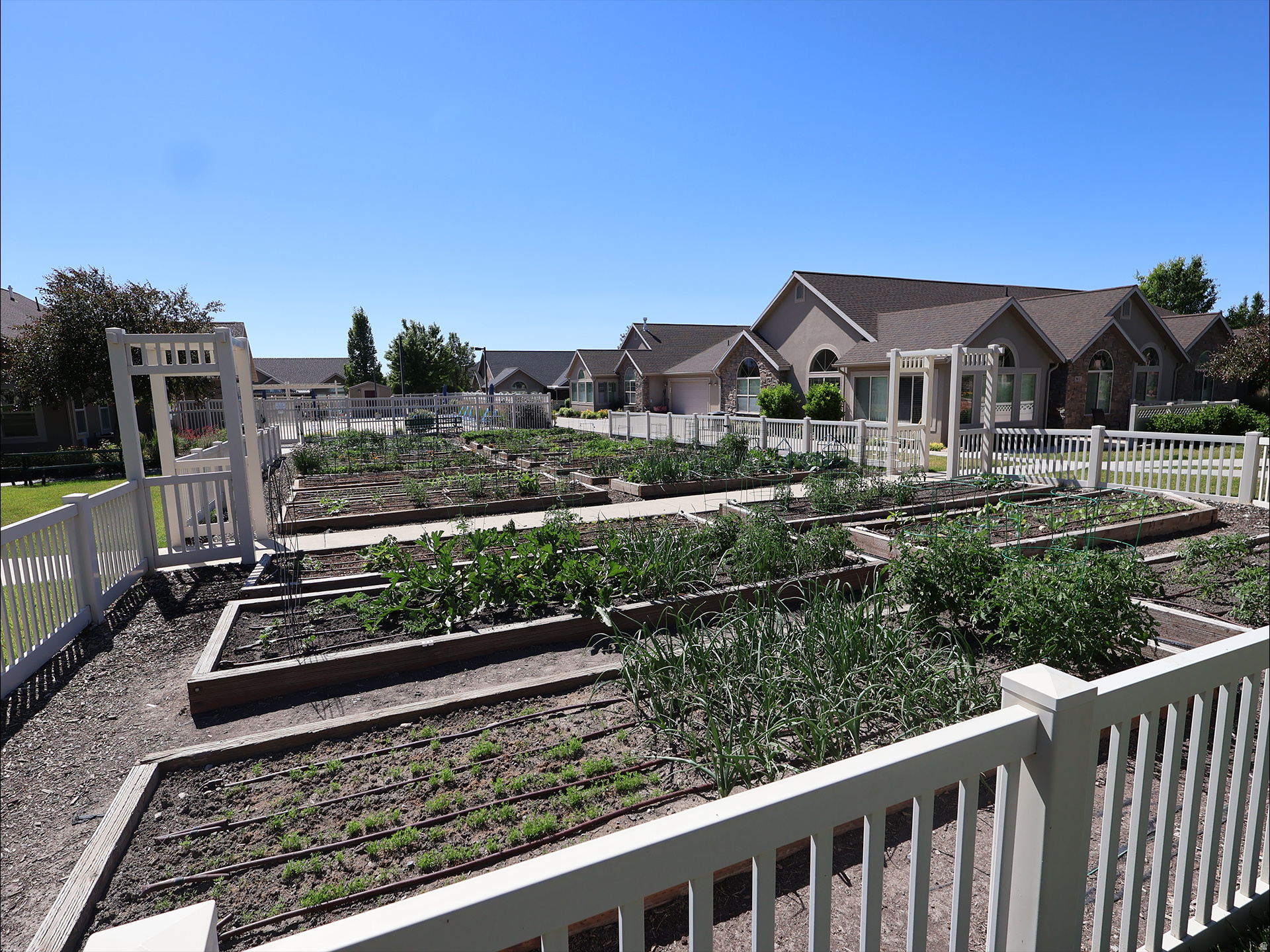 TOWNE CENTER VILLAS - Residential