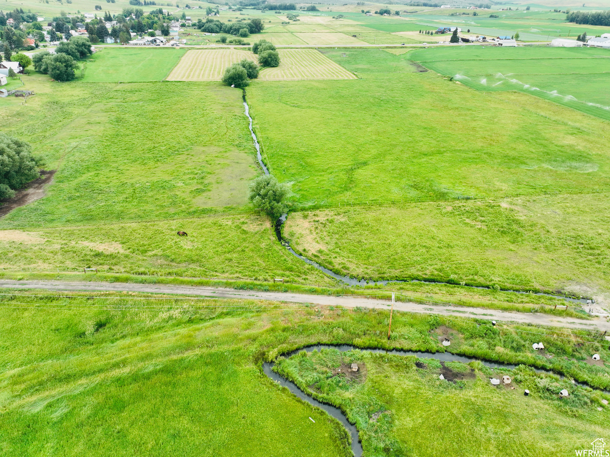 Lot 8 in Paris City limits. Additional land available. Build your dream home or use for vacation purposes. Large animals welcome. Nightly rentals approved.