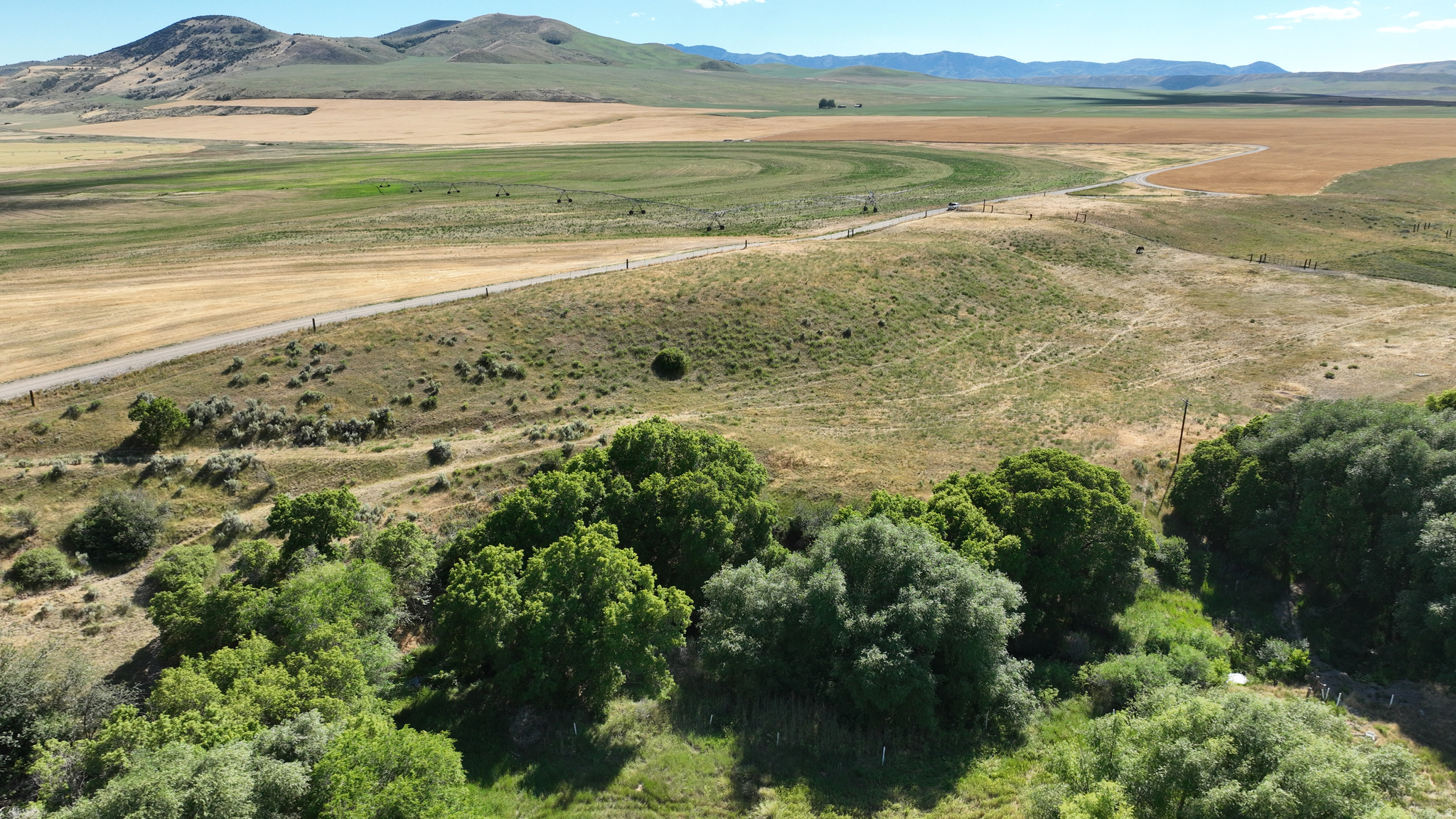 Bear River Valley Acreage With Year-Round Creek and Water Shares - 2 Shares of Weston Creek Irrigation Water - Weston Creek frontage  - Easement access driveway off year-round county road  - Quarter mile of frontage on seasonal access dirt road - Mostly fenced - Overhead power available - Wildlife habitat along creek --Bear River Valley homestead opportunity just inside Weston city limits, with year-round Weston Creek frontage and two shares of irrigation water.  Enjoy country living with expansive mountain and valley views and the convenience of proximity to Preston and Logan, Utah.  The property is mostly fenced, with gradual to moderate sloping terrain, surrounded by farmland and rural homes on acreage, and poised for your residential build plans.  Bring your horses or other livestock and create the homestead you've always dreamed of and enjoy wildlife viewing from the privacy of your own porch. The meandering creek creates habitat drawing deer to the property. The acreage is zoned agricultural with easement access off a year-round county-maintained road, approximately a quarter mile of frontage on a seasonal access county dirt road and overhead power available close by.  A residential build will require a perc test for a future septic system and a well to be drilled for culinary water.    Cache and Caribou National Forest are nearby, offering hundreds of miles of trails and dirt roads to explore in ATV's, horseback riding, mountain biking, hiking, backpacking. camping, wildlife viewing and big game hunting.  The winter months open the door to a winter wonderland to explore snowmobiling, cross-country skiing, snowshoeing and fat tire biking.  Numerous area reservoirs and rivers offer fishing for rainbow trout, bass, perch and walleye.    Oneida Canyon Recreation Area is a short distance away and offers boating, swimming, fishing at the reservoir floating and fishing access on the Bear River, upland game hunting, camping, hiking and backpacking.  Oneida Narrows Road is winter-maintained and offers cross-country skiing and snowshoeing opportunities along the beautiful Bear River and other winter recreational activities.  And treat yourself to a relaxing soak or spa day at the riverside saunas of Maple Grove Hot Springs and Retreat Center, which also offers yoga classes, massages and acoustic firesides at the yurt.