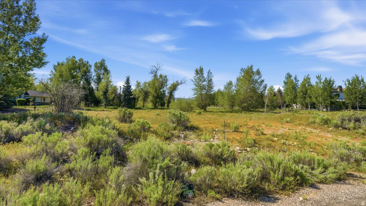 RIVER MEADOWS - Land