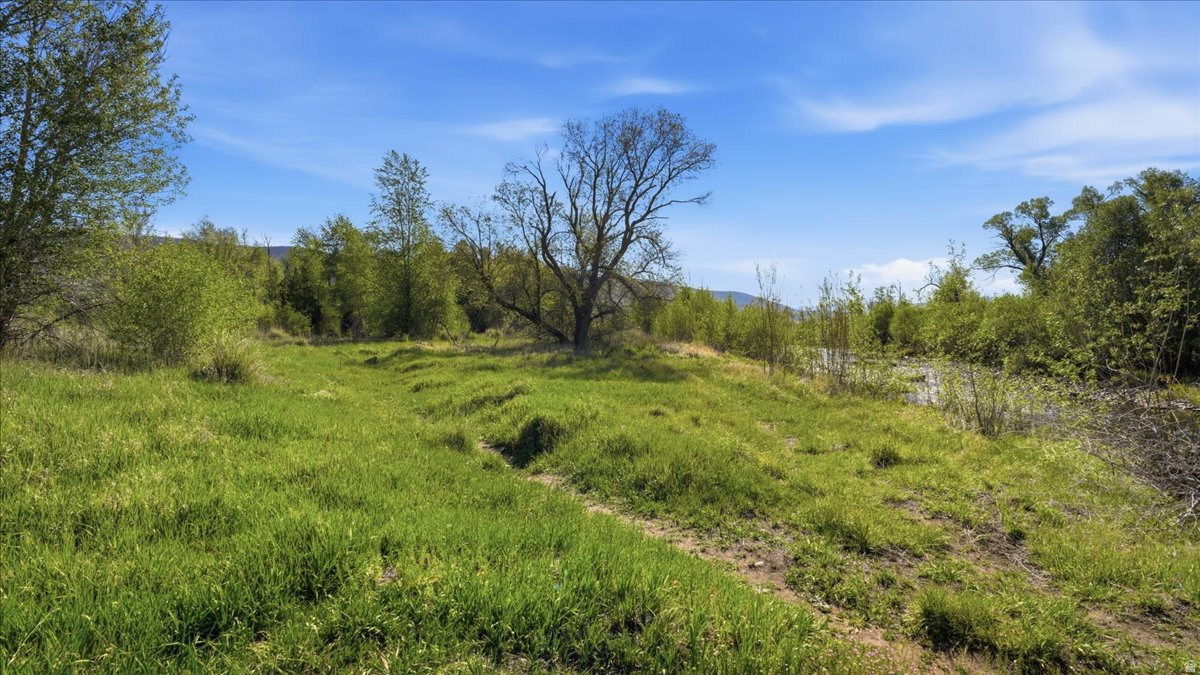 RIVER MEADOWS - Land