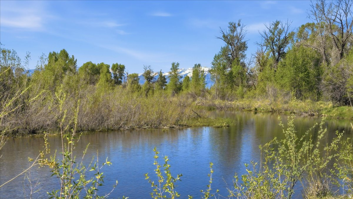 RIVER MEADOWS - Land