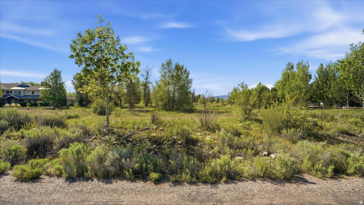 RIVER MEADOWS - Land