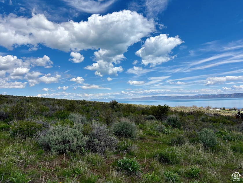 Build your dream retreat or investment property on this prime Bear Lake lot! Located in a sought-after subdivision that allows nightly rentals, stunning mountain and lake views with open space to the North and surrounding the phase.  Whether you're looking to create a vacation getaway or generate income through short-term rentals, this is a great opportunity to own in one of Bear Lake's most scenic and flexible locations. Very close to the golf course and option to buy into Ideal Beach for lake access. Enjoy year-round recreation, breathtaking scenery, and the freedom to build what fits your vision.  Buyer to verify all information.