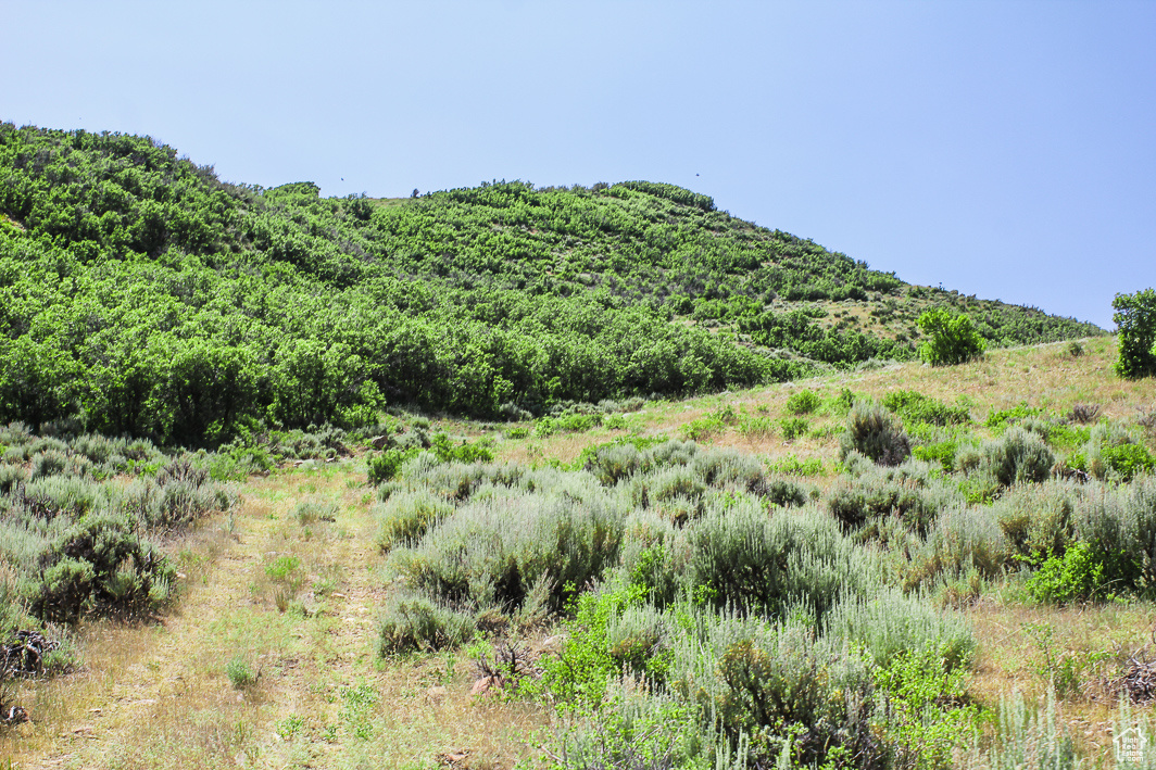 NORTH SUMMIT - Land