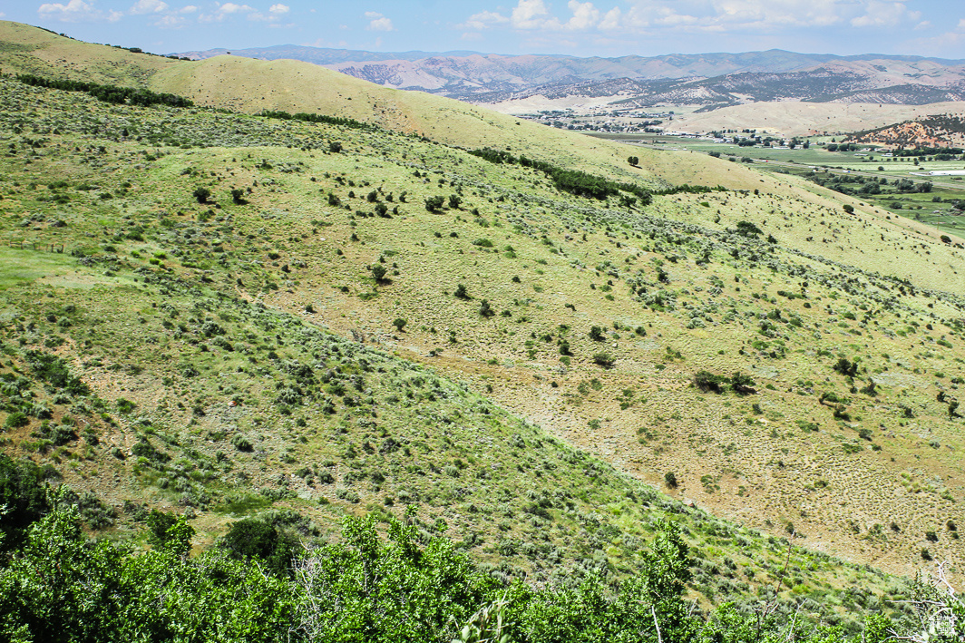 NORTH SUMMIT - Land