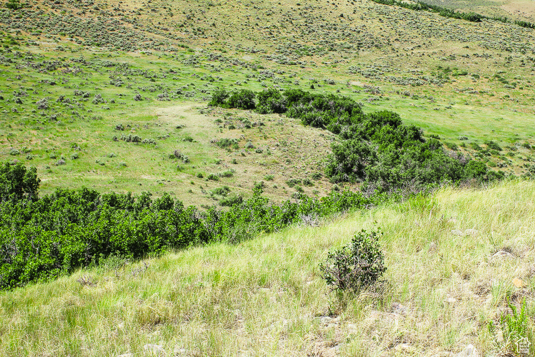 NORTH SUMMIT - Land
