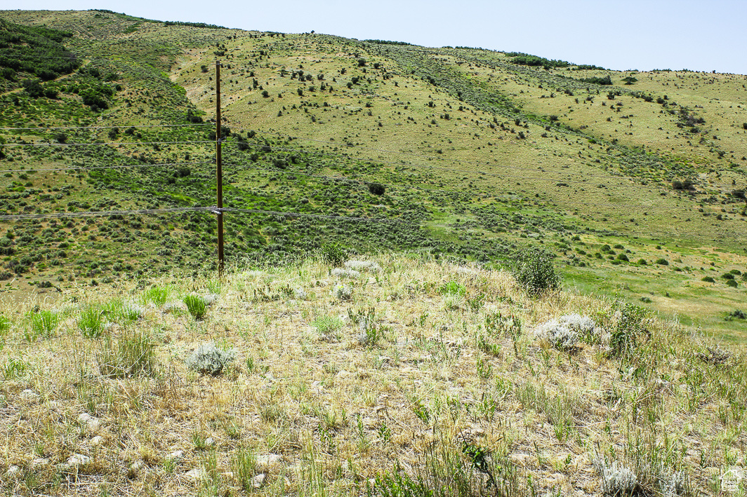 NORTH SUMMIT - Land
