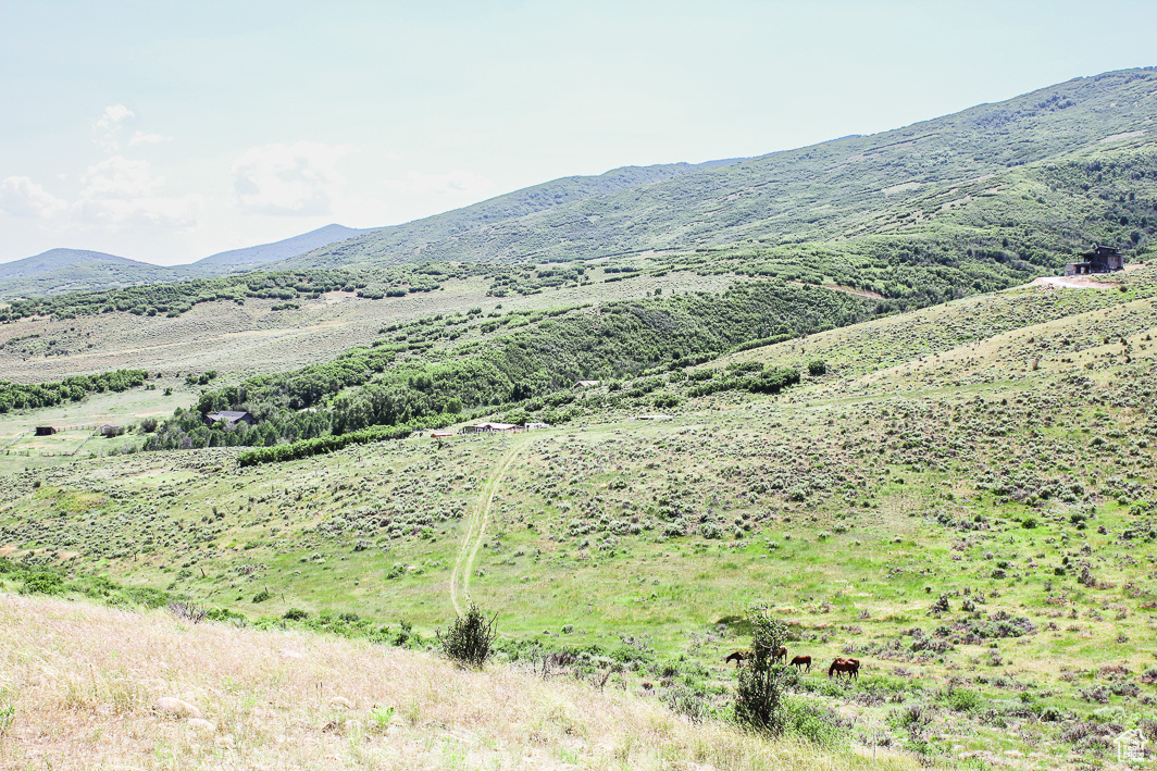 NORTH SUMMIT - Land