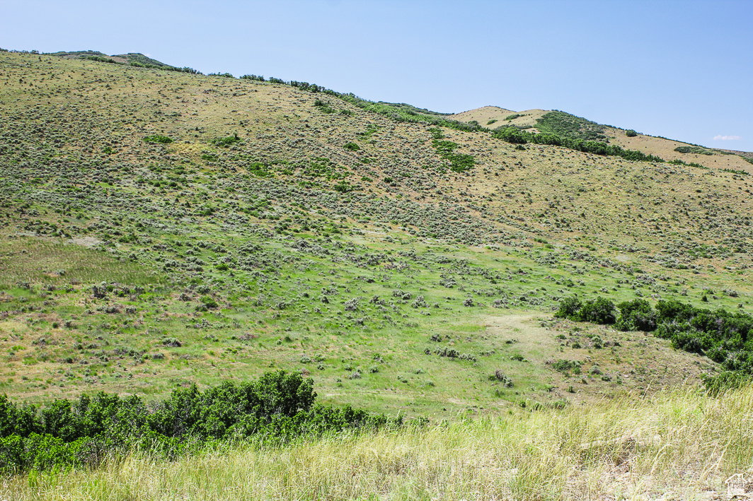 NORTH SUMMIT - Land