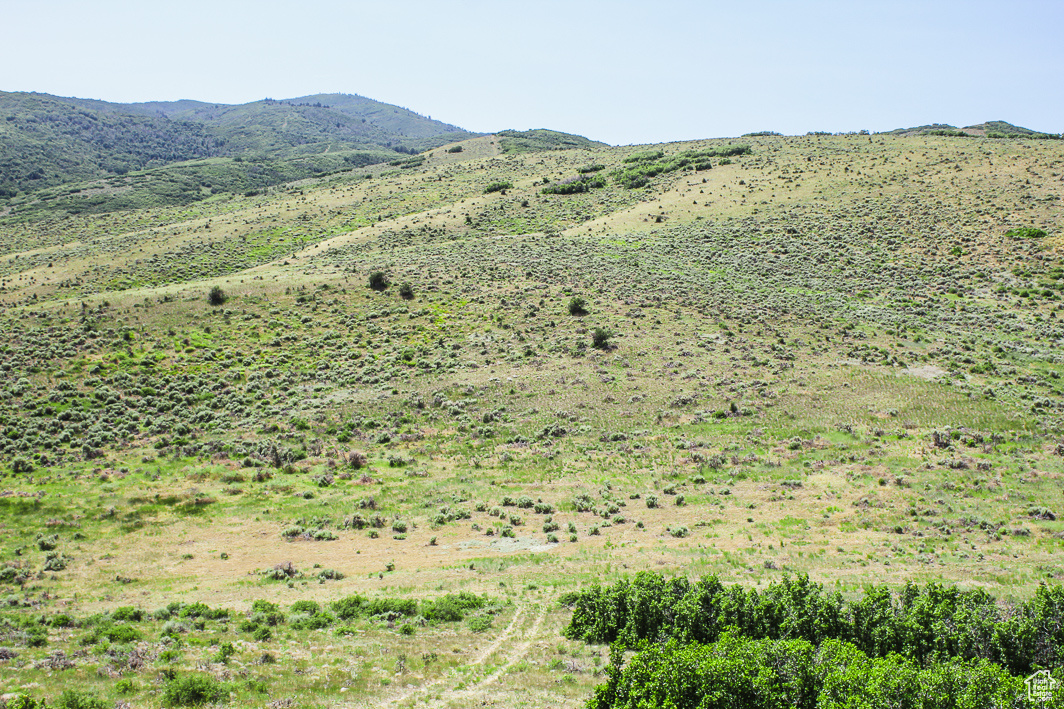NORTH SUMMIT - Land