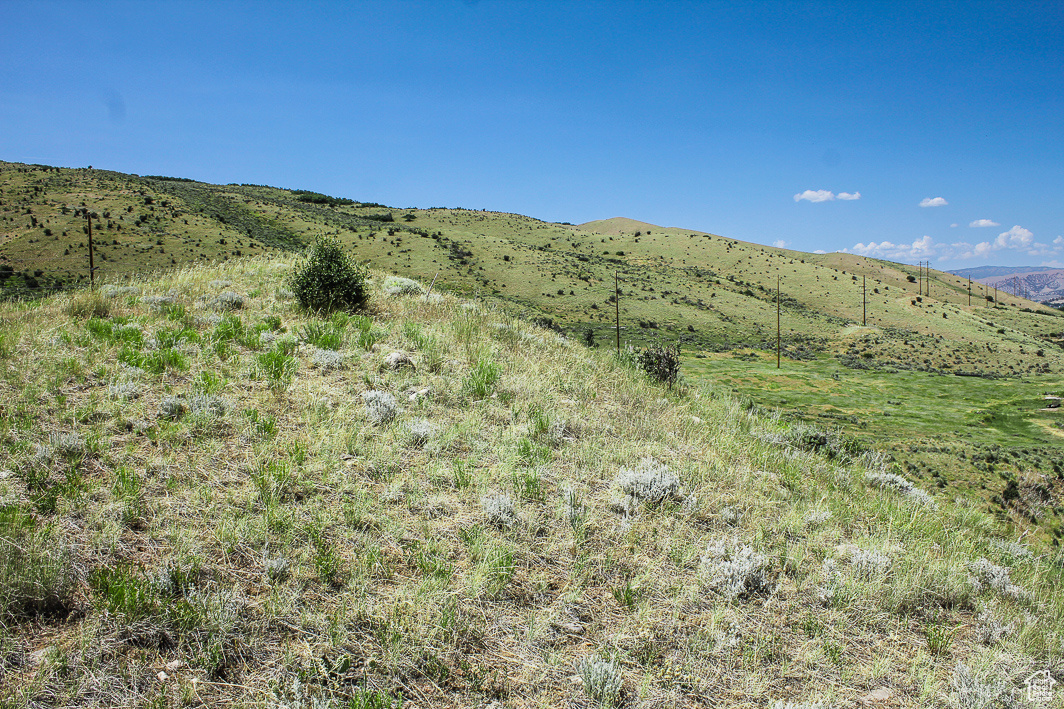 NORTH SUMMIT - Land
