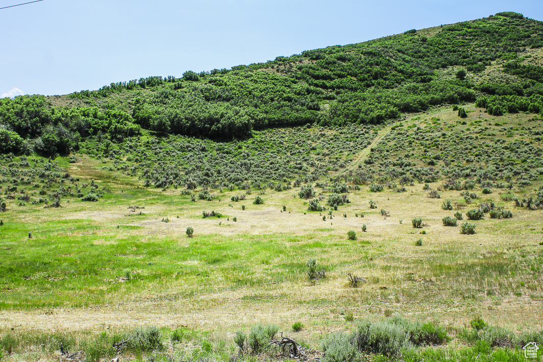 NORTH SUMMIT - Land
