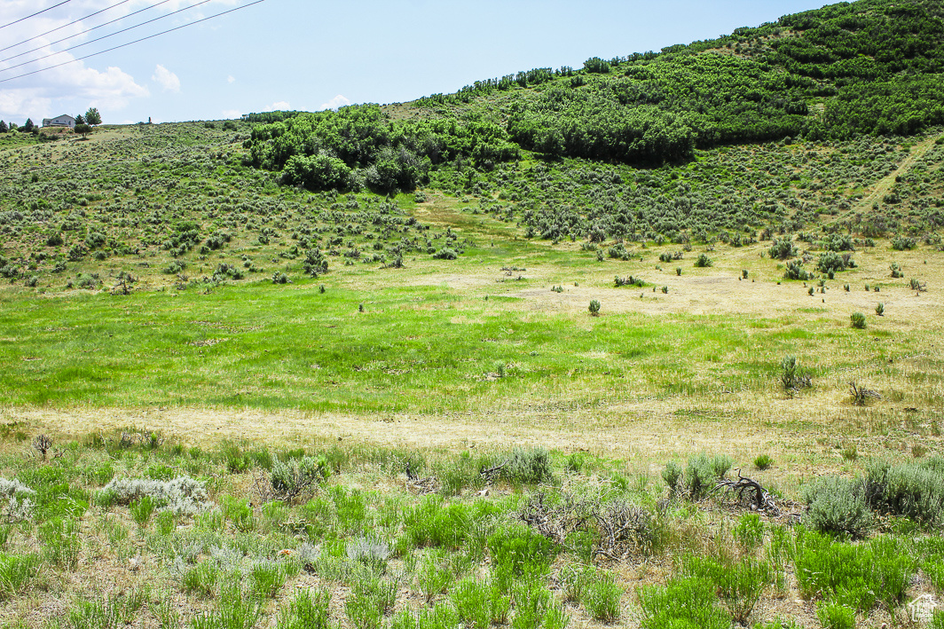 NORTH SUMMIT - Land