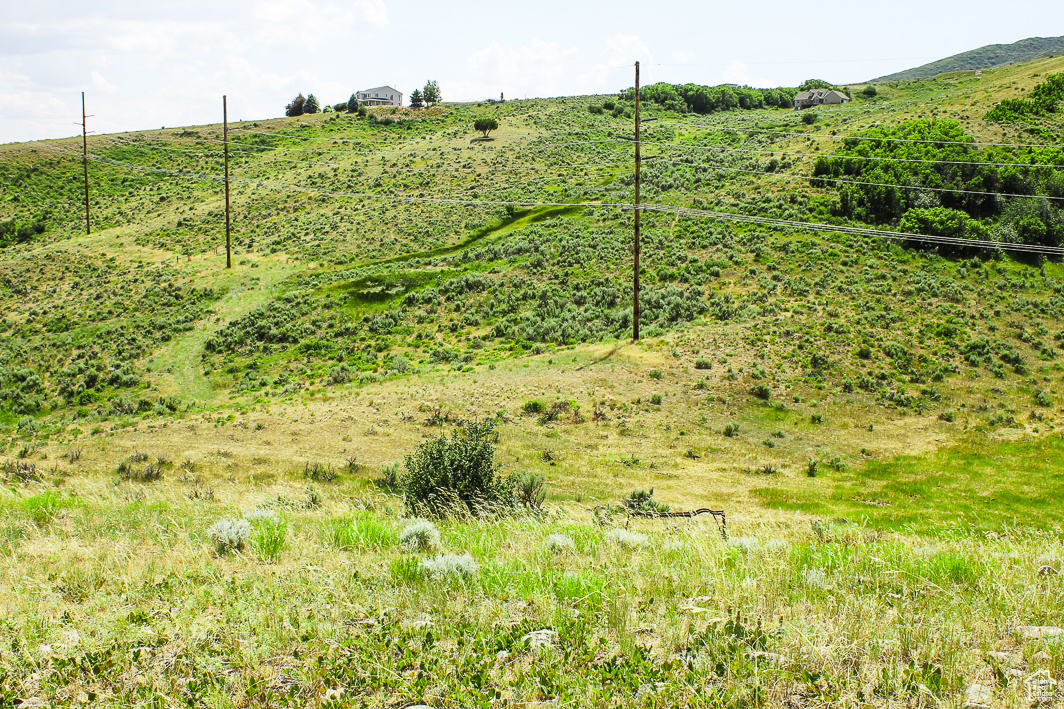 NORTH SUMMIT - Land