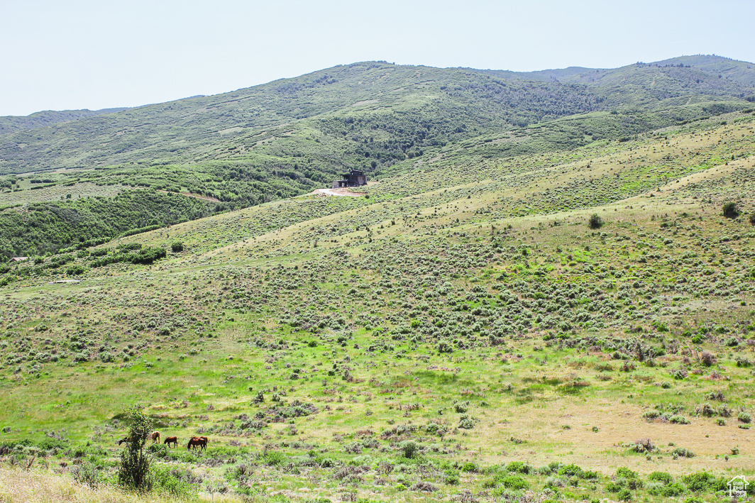 NORTH SUMMIT - Land