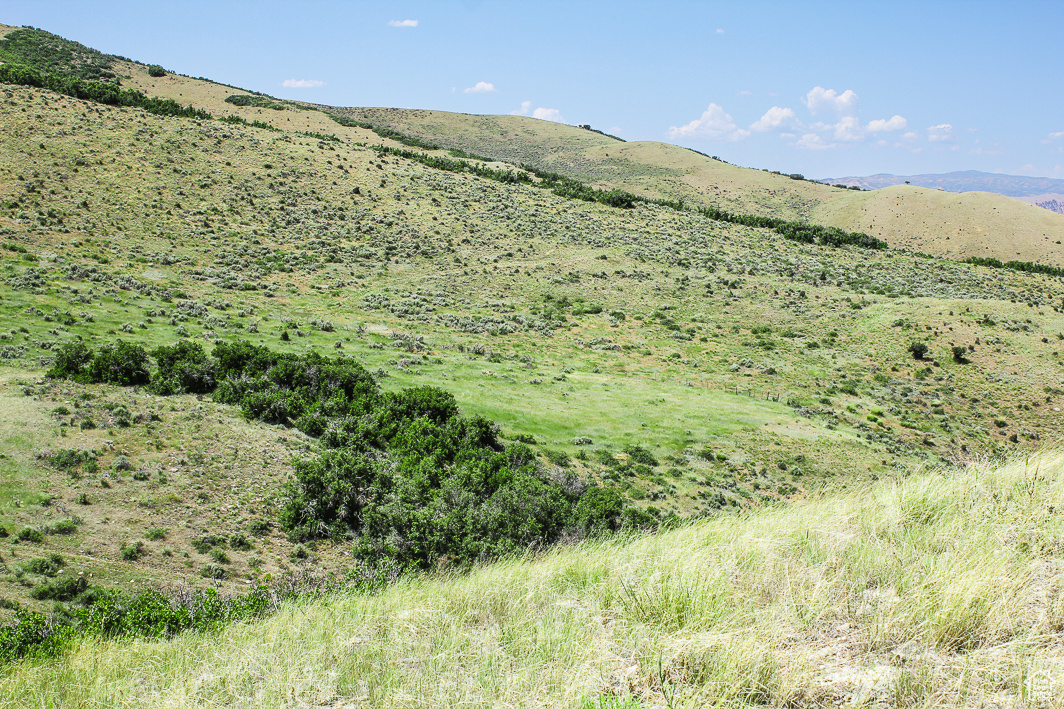NORTH SUMMIT - Land
