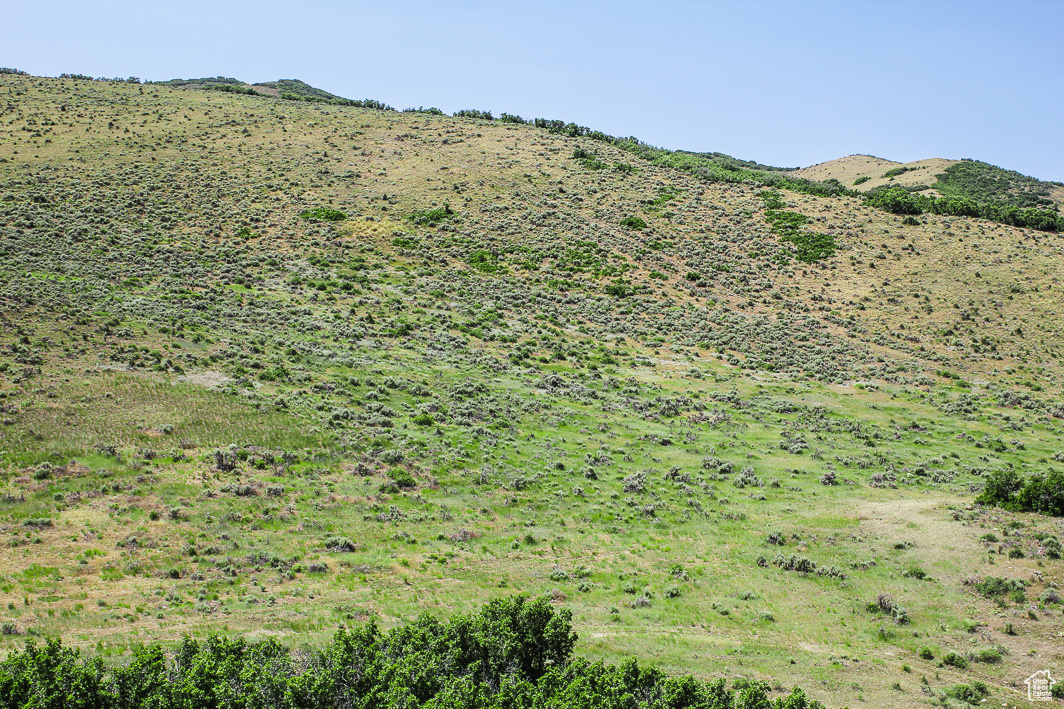 NORTH SUMMIT - Land