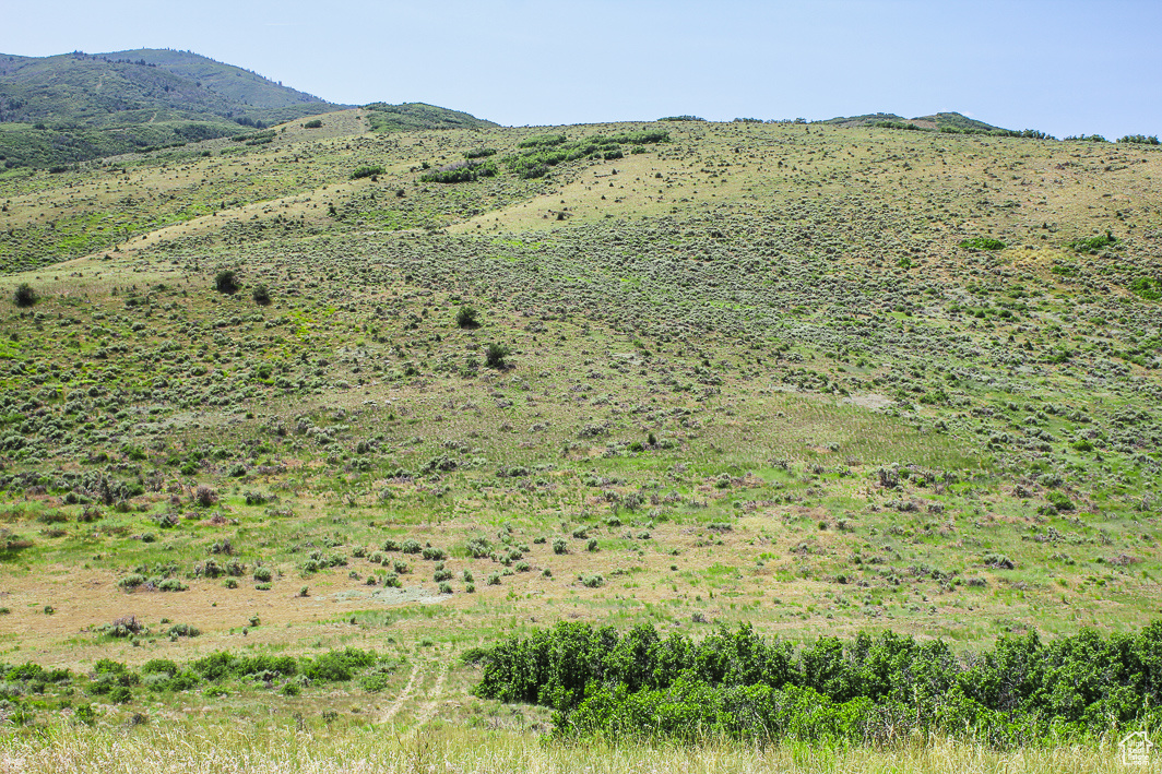 NORTH SUMMIT - Land