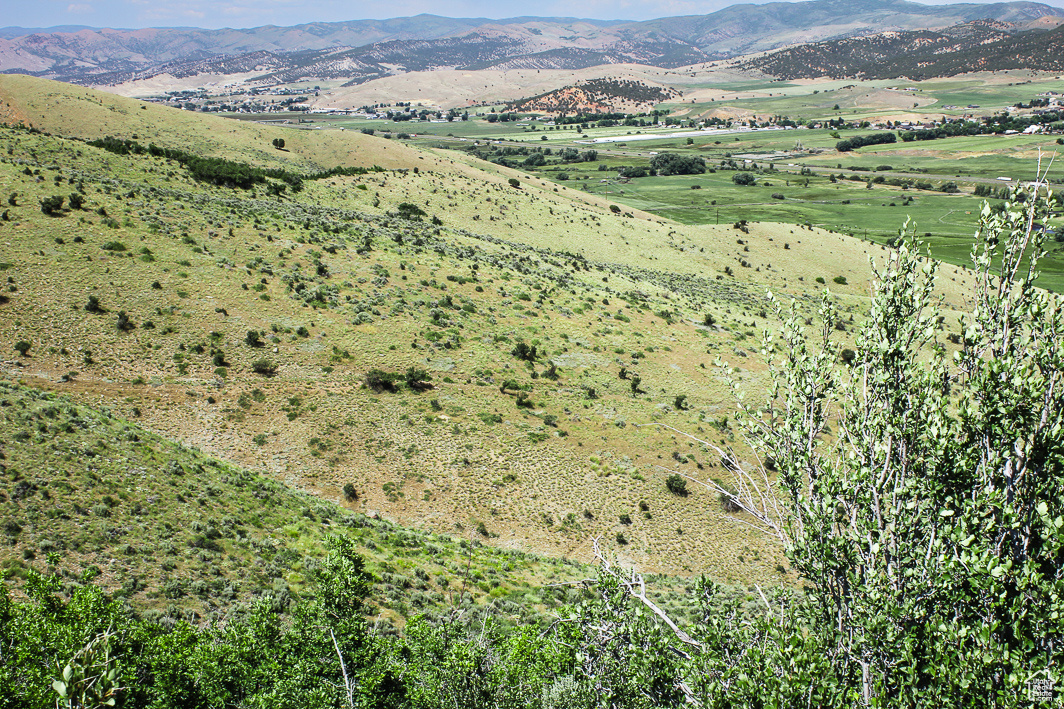 NORTH SUMMIT - Land