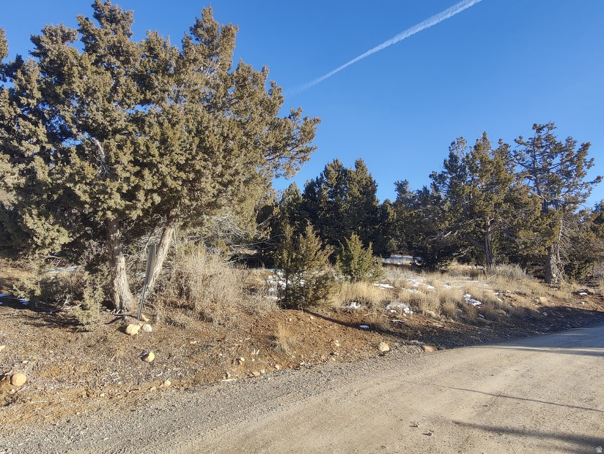 SKYLINE MOUNTAIN RESORT SUBDIVISION - Land