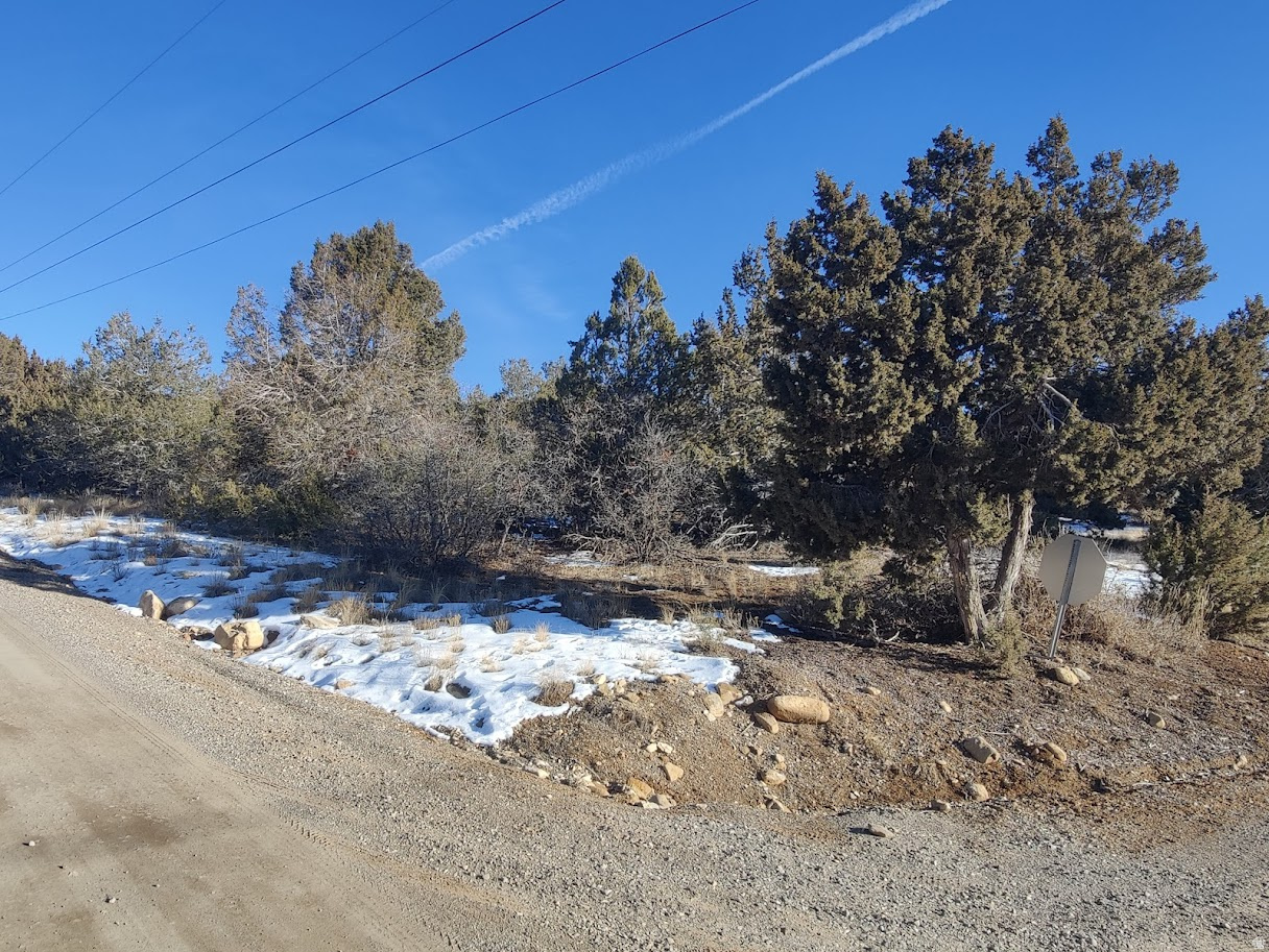 SKYLINE MOUNTAIN RESORT SUBDIVISION - Land