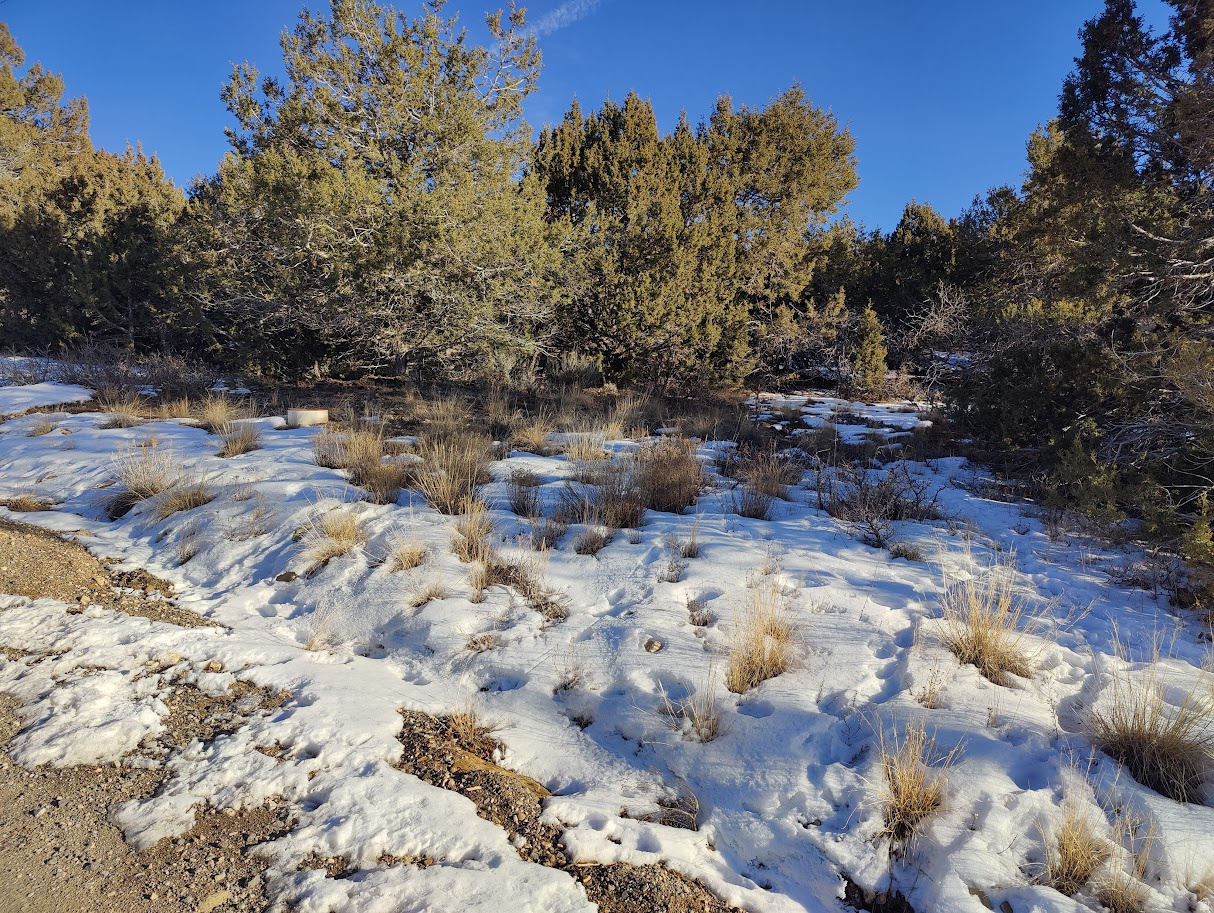 SKYLINE MOUNTAIN RESORT SUBDIVISION - Land