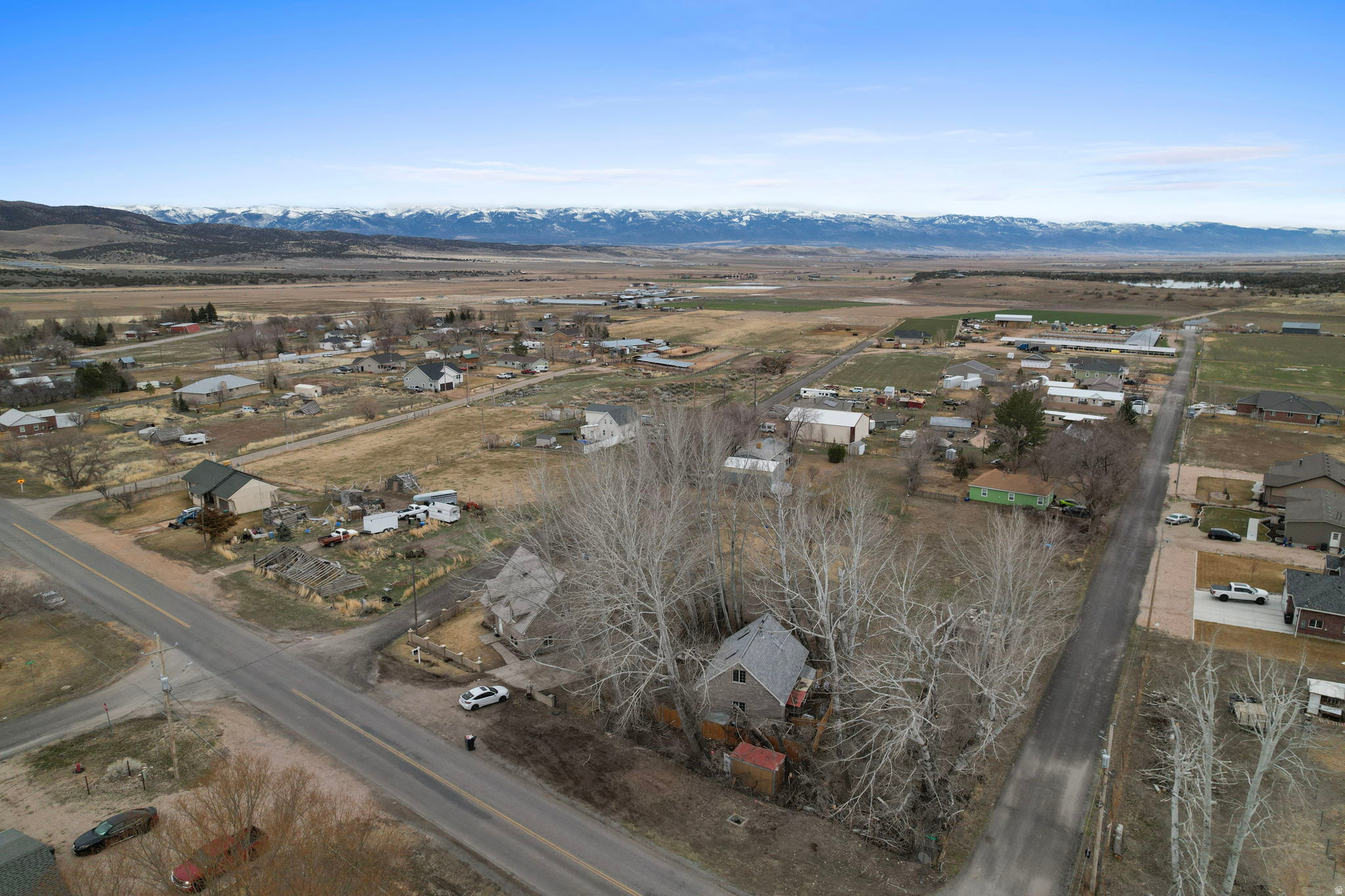 DAILEY MINOR - Residential