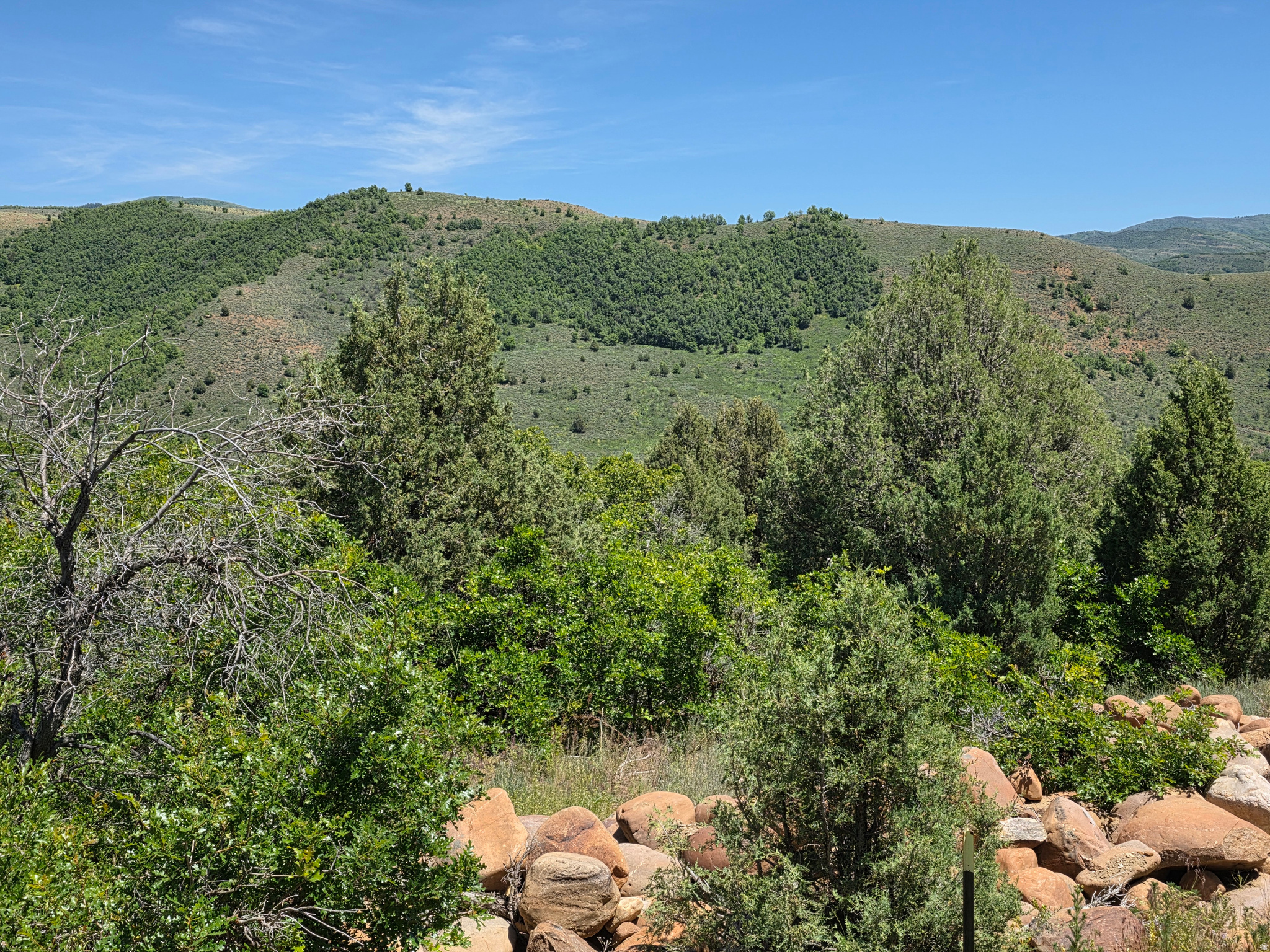 EVERGREEN PARK - Residential