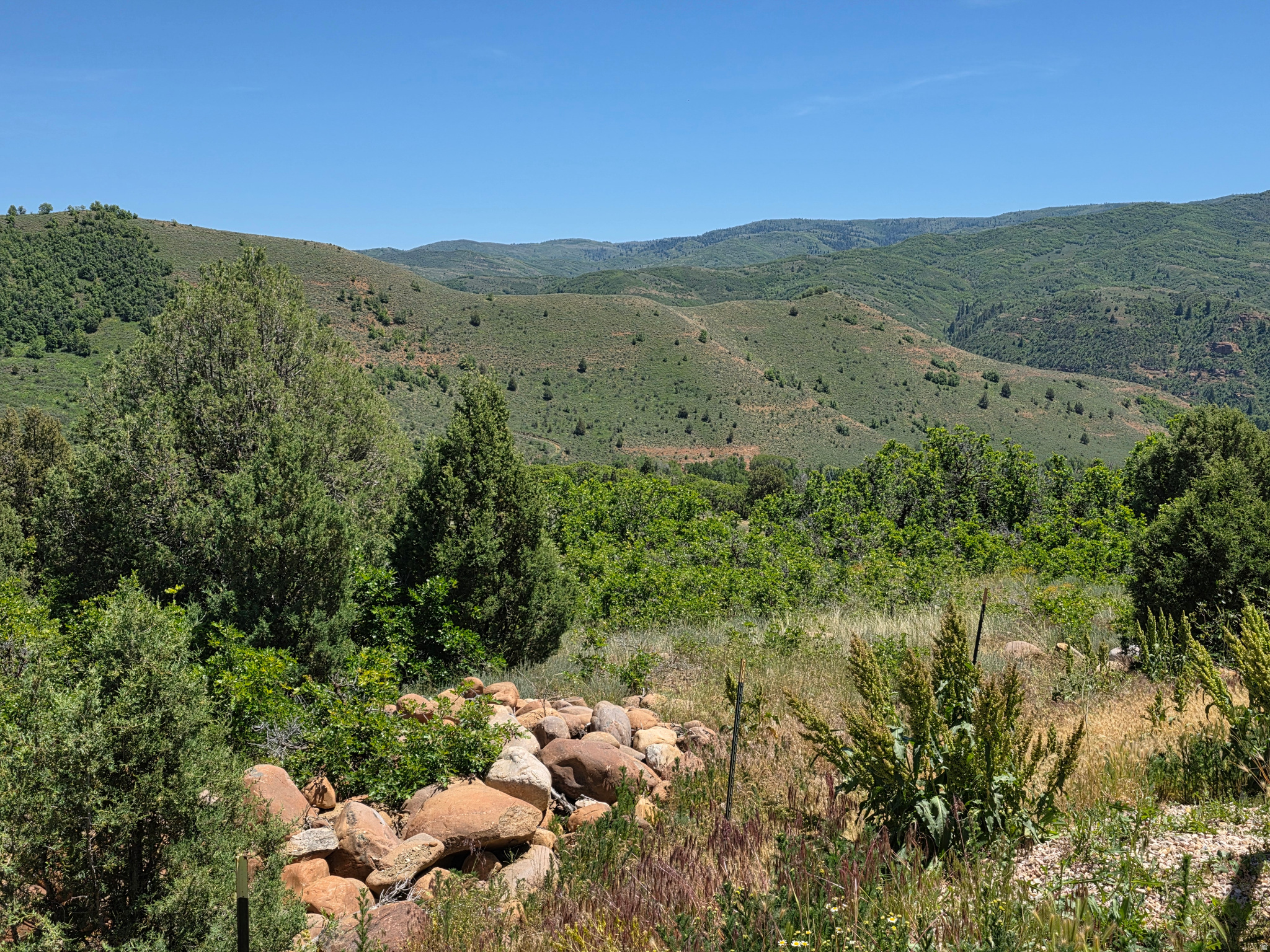 EVERGREEN PARK - Residential