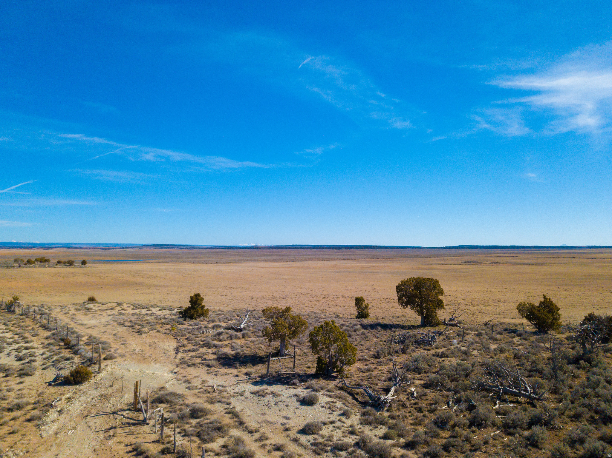 This 116-acre property north of Monticello is a productive dry-farm parcel featuring a mix of pinyon, juniper, and sage with clear mountain views. The land is currently under a farmer lease crop share agreement utilizing a winter wheat and safflower rotation, providing an established income stream while maintaining Greenbelt status for low property taxes. The acreage is fully fenced and accessible via two gates with an established easement. Property has some water holes.