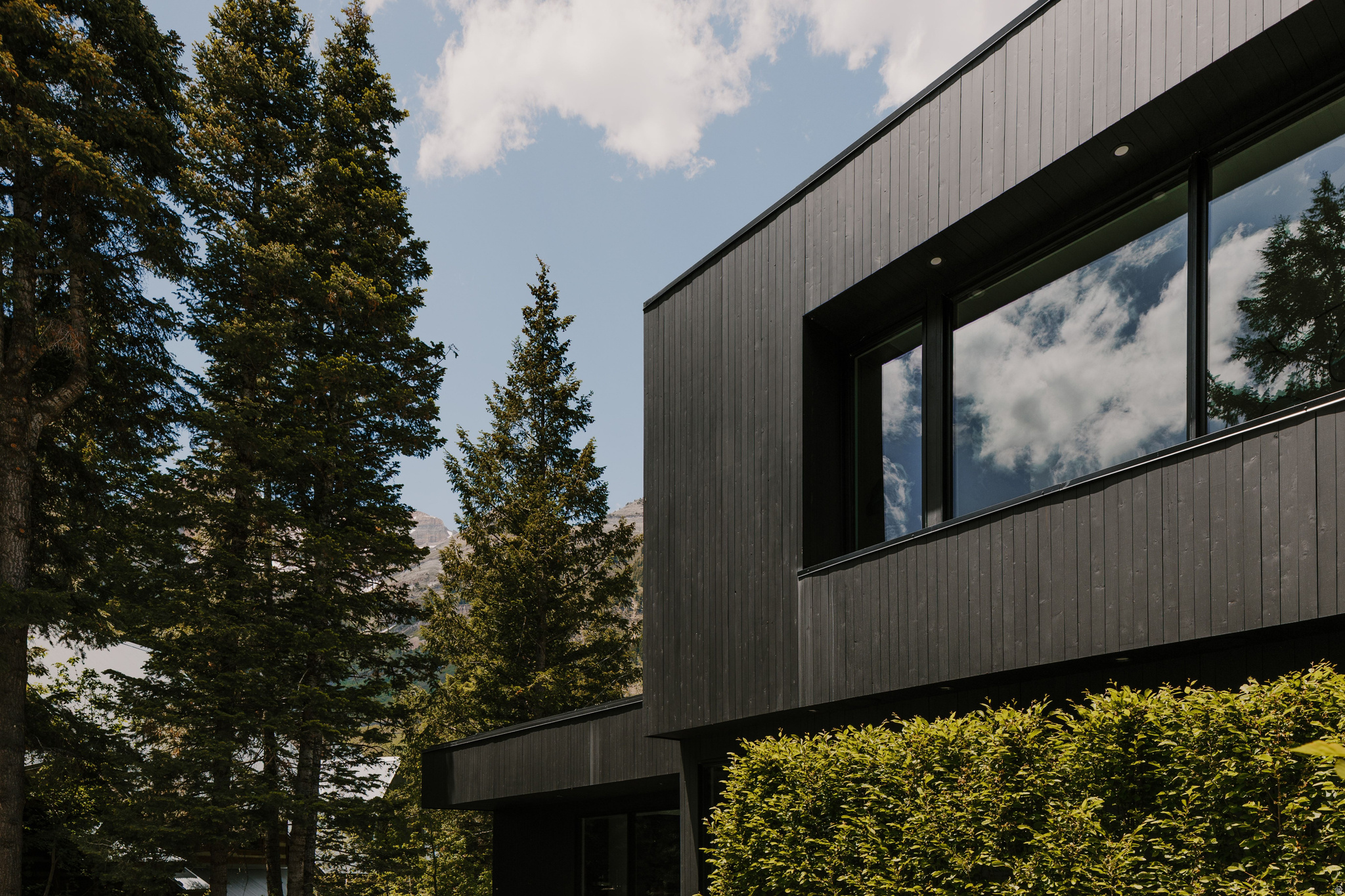 STEWART - Residential