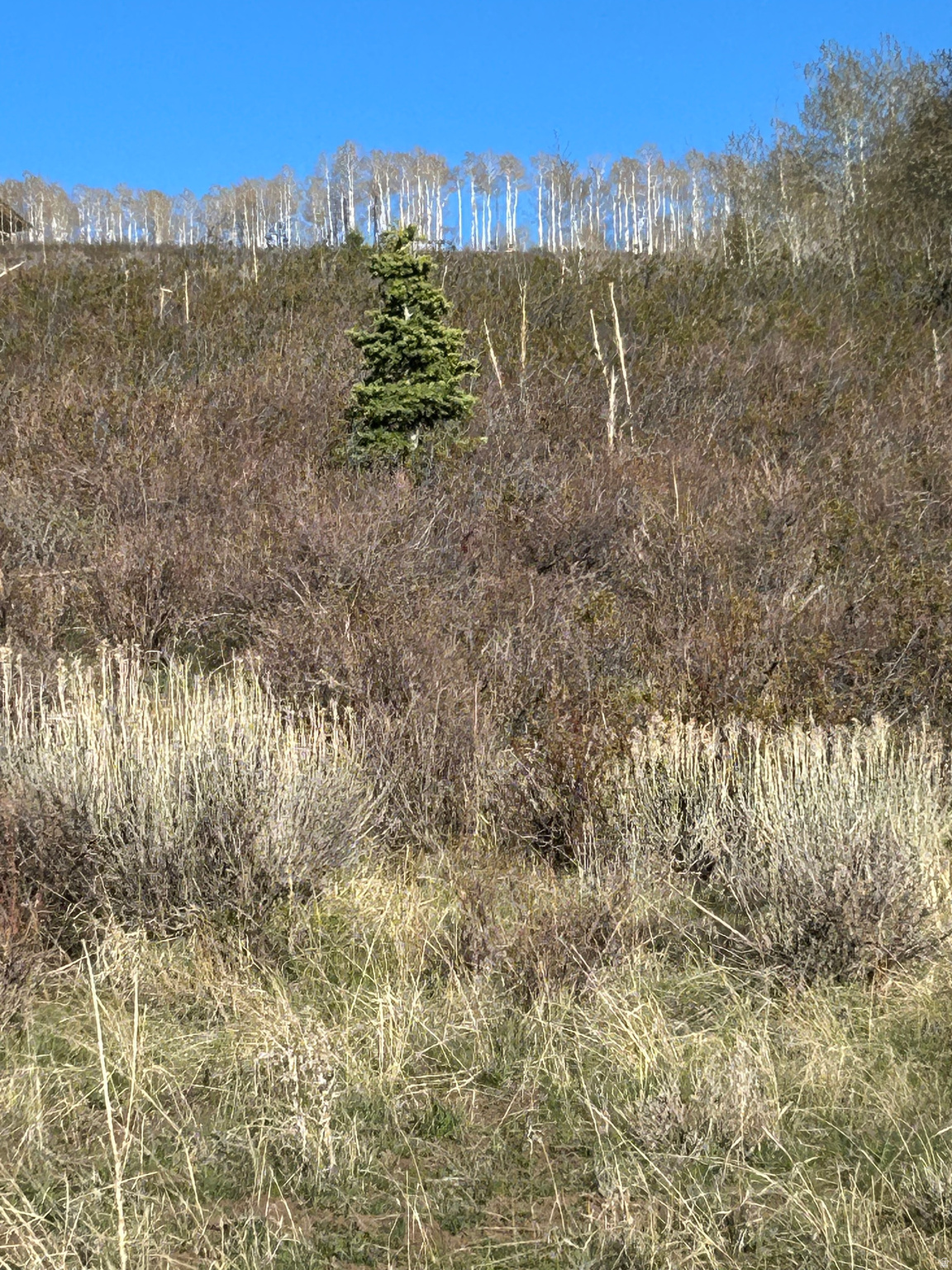 Beautiful lot located in the Skyline Mountain Resort. This property offers an ideal combination of scenery, privacy, and ease of use, requiring very little work to begin enjoying immediately. The area is rich with outdoor recreation opportunities such as hiking, camping, ATV riding. A snowmobile or snowcat will be required for access during the winter months. A central water filling station is located approximately one mile away for tank filling. The seller also owns Lot J7 and is willing to sell it as well. Common area located north of lot.