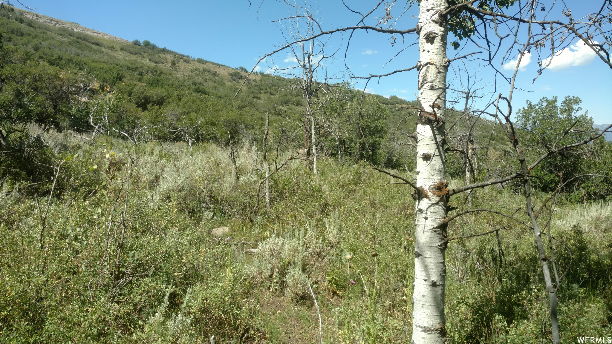 TIMBER LAKES - Land