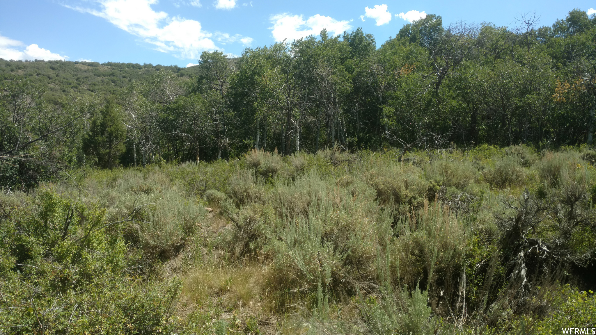 TIMBER LAKES - Land