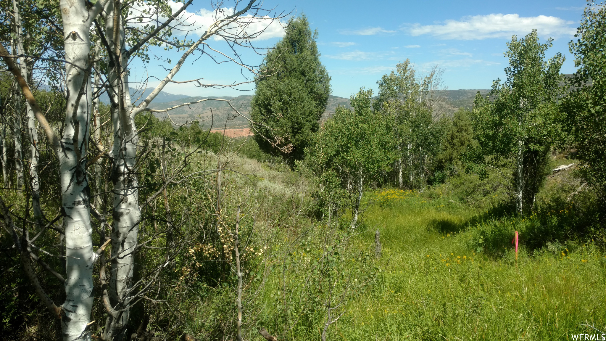 TIMBER LAKES - Land