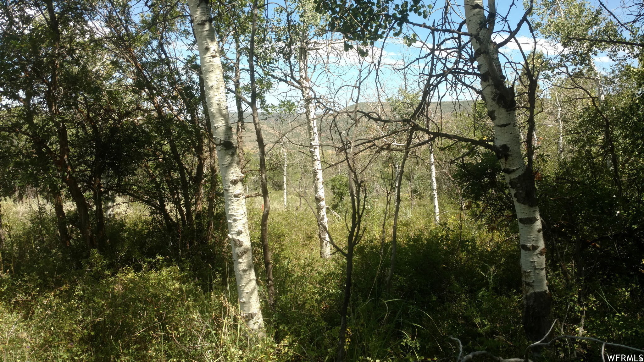TIMBER LAKES - Land