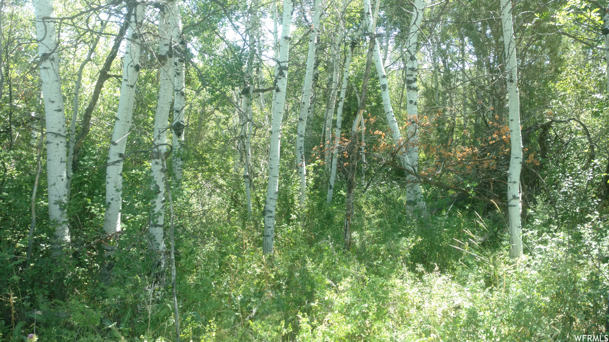 TIMBER LAKES - Land
