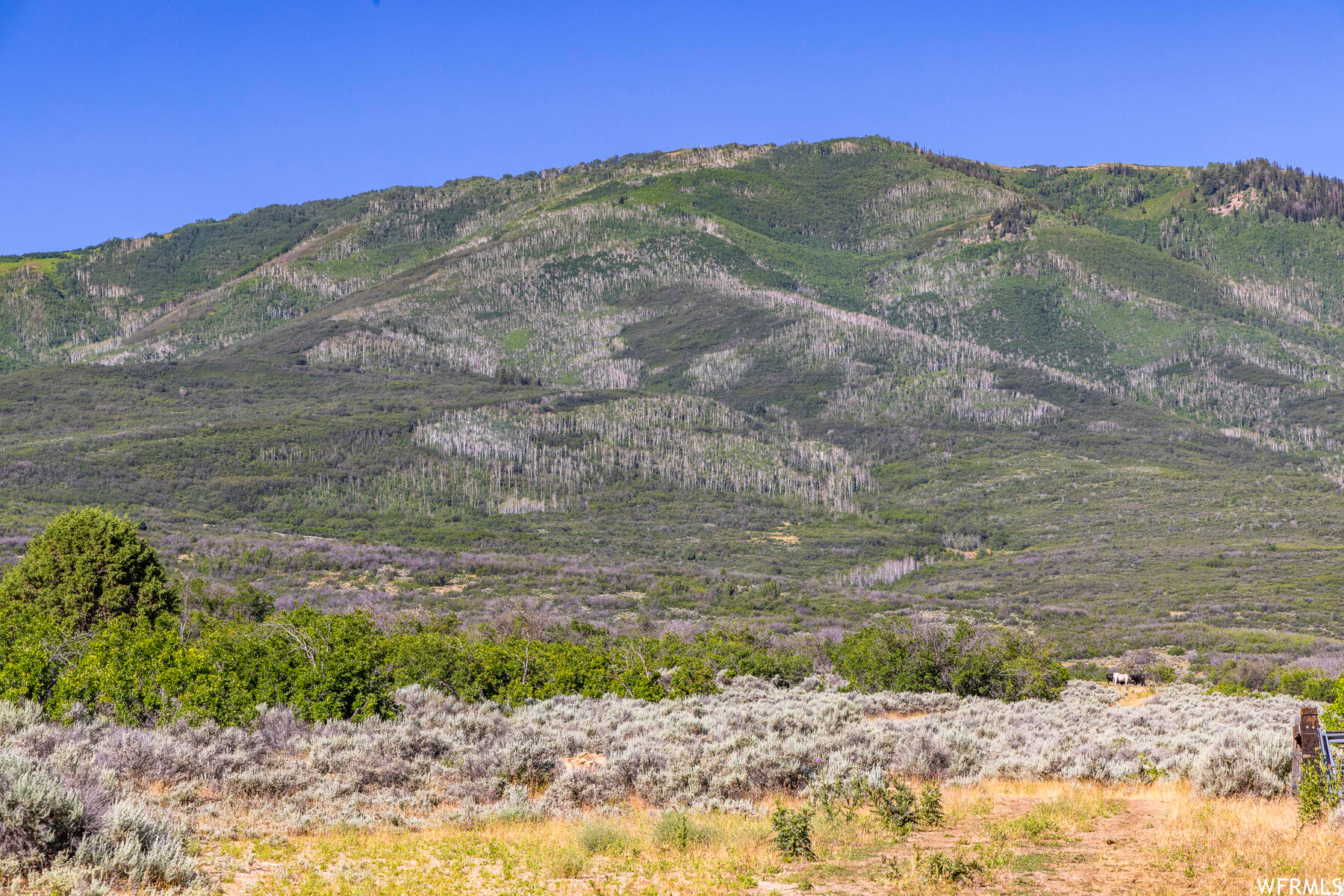 Just 2 miles Southwest of the town of Wallsburg is 682 +/- rolling acres in a rather serene setting. It has been used as grazing land and consists of 4 separate parcels & 2/3 interest in Parcels 10-5127 and 16-8000 with about 6.3 acres feet of water for future wells. The views are incredible. There is a good gravel access to the property. It is just 20 minutes from Heber/Midway or about 30 minutes from Provo/Orem. This is a great get away for a corporate or family retreat with potential possibilities for the future.